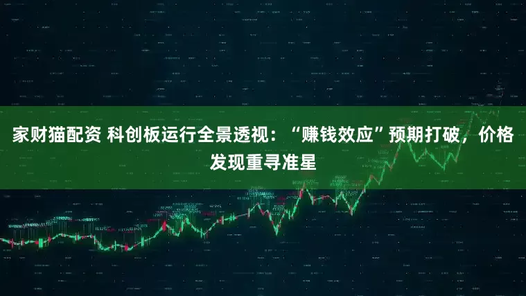 家财猫配资 科创板运行全景透视：“赚钱效应”预期打破，价格发现重寻准星
