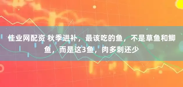 佳业网配资 秋季进补，最该吃的鱼，不是草鱼和鲫鱼，而是这3鱼，肉多刺还少
