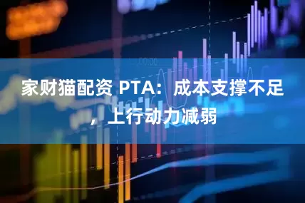 家财猫配资 PTA：成本支撑不足，上行动力减弱